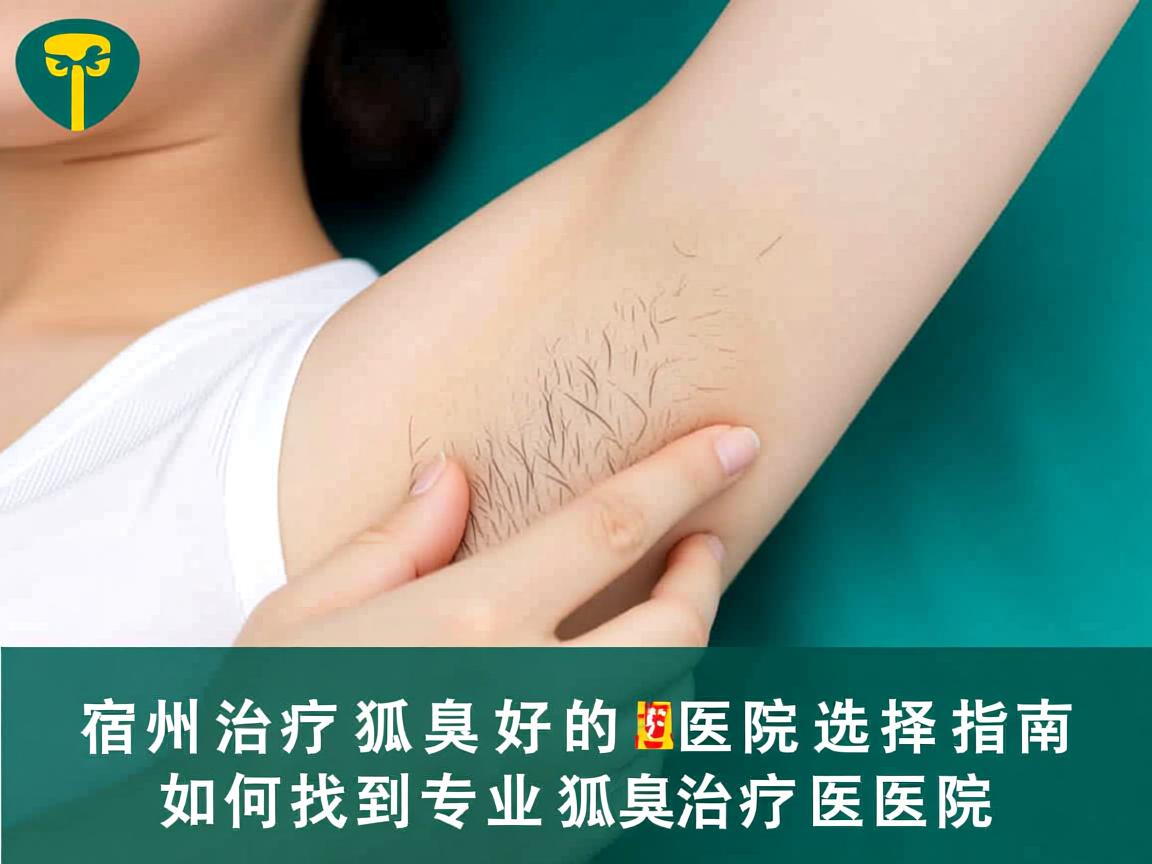 宿州治疗狐臭好的医院选择指南,如何找到专业狐臭治疗医院 宿州治疗狐臭好的医院选择指南,如何找到专业狐臭治疗医院