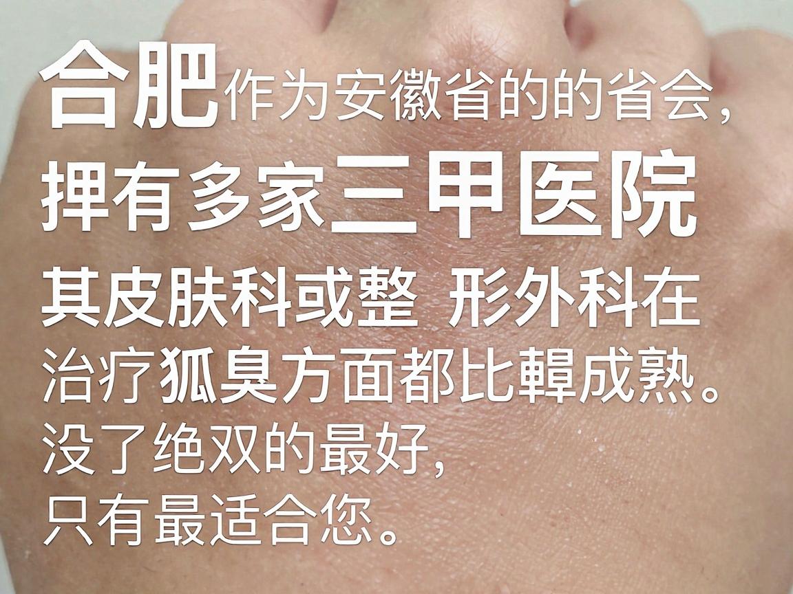 合肥作为安徽省的省会，拥有多家三甲医院，其皮肤科或整形外科在治疗狐臭方面都比较成熟。需要说明的是，医疗问题具有个体差异性，没有绝对的最好，只有最适合您的