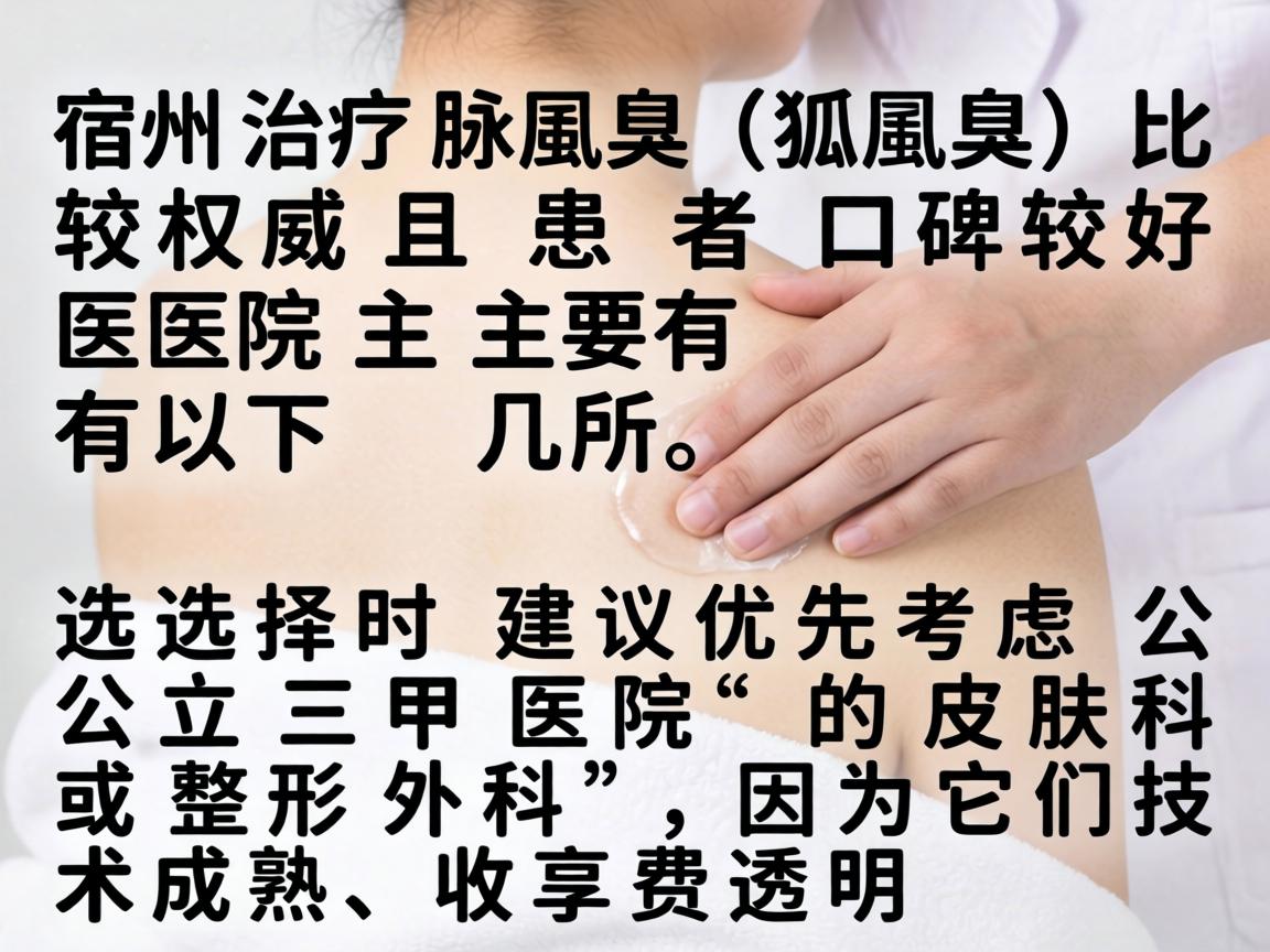 在宿州，治疗腋臭（狐臭）比较权威且患者口碑较好的医院主要有以下几所。选择时建议优先考虑公立三甲医院的皮肤科或整形外科，因为它们技术成熟、收费透明