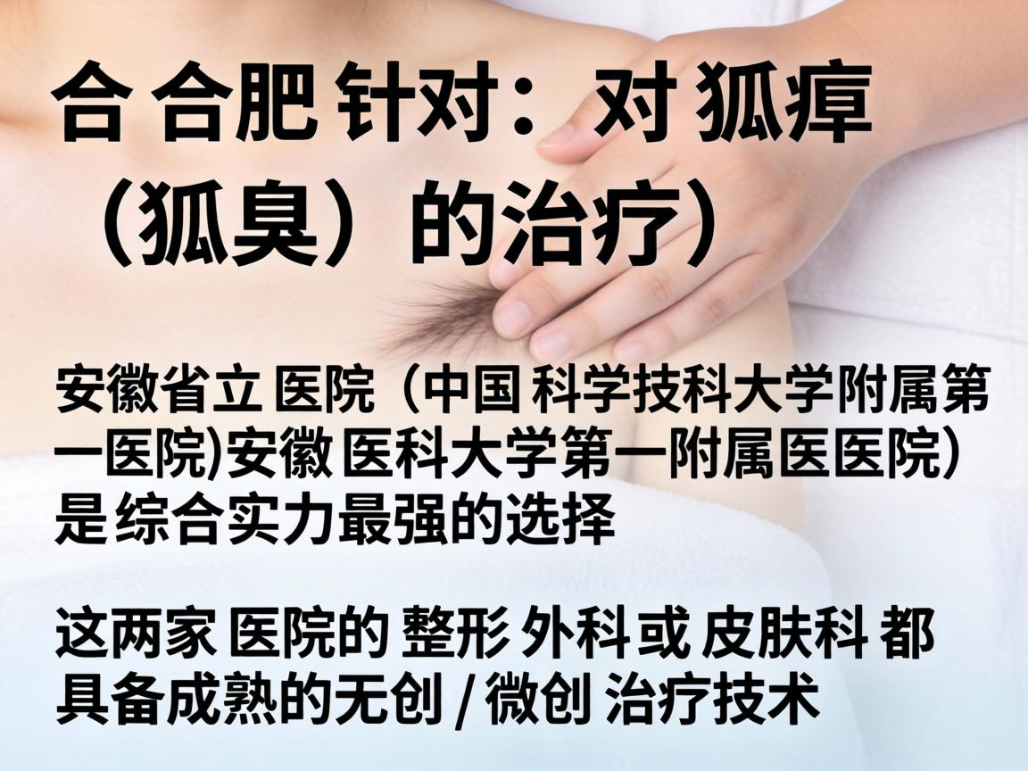 在合肥，针对狐臭（腋臭）的治疗，安徽省立医院（中国科学技术大学附属第一医院）和 安徽医科大学第一附属医院 是综合实力最强的选择。这两家医院的整形外科或皮肤科都具备成熟的无创/微创治疗技术