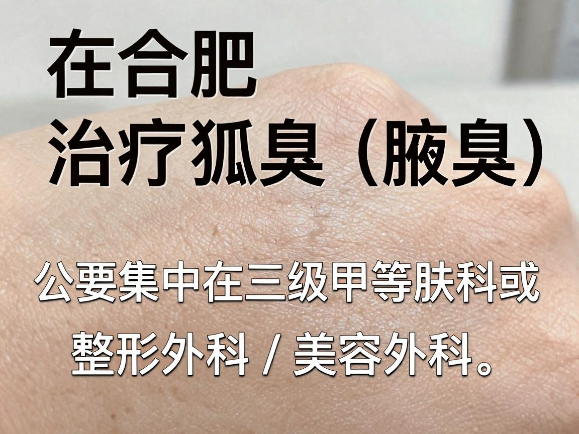 在合肥,治疗狐臭(腋臭)的公立医院主要集中在三级甲等医院的皮肤科或整形外科/美容外科。以下是几家口碑较好、技术成熟的国家级或省市级公立医院推荐 在合肥,治疗狐臭(腋臭)的公立医院主要集中在三级甲等医院的皮肤科或整形外科/美容外科。以下是几家口碑较好、技术成熟的国家级或省市级公立医院推荐