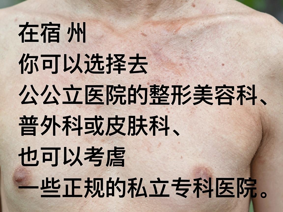 在宿州,你可以选择去公立医院的整形美容科、普外科或皮肤科,也可以考虑一些正规的私立专科医院。以下是具体的推荐和注意事项 在宿州,你可以选择去公立医院的整形美容科、普外科或皮肤科,也可以考虑一些正规的私立专科医院。以下是具体的推荐和注意事项