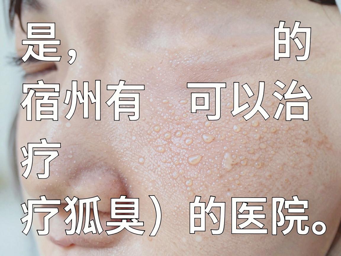 是的,宿州有可以治疗狐臭(腋臭)的医院。一般来说,宿州市的公立综合医院(如宿州市立医院、皖北煤电集团总医院等)的普外科、皮肤科或整形美容科通常都提供狐臭的治疗服务 是的,宿州有可以治疗狐臭(腋臭)的医院。一般来说,宿州市的公立综合医院(如宿州市立医院、皖北煤电集团总医院等)的普外科、皮肤科或整形美容科通常都提供狐臭的治疗服务