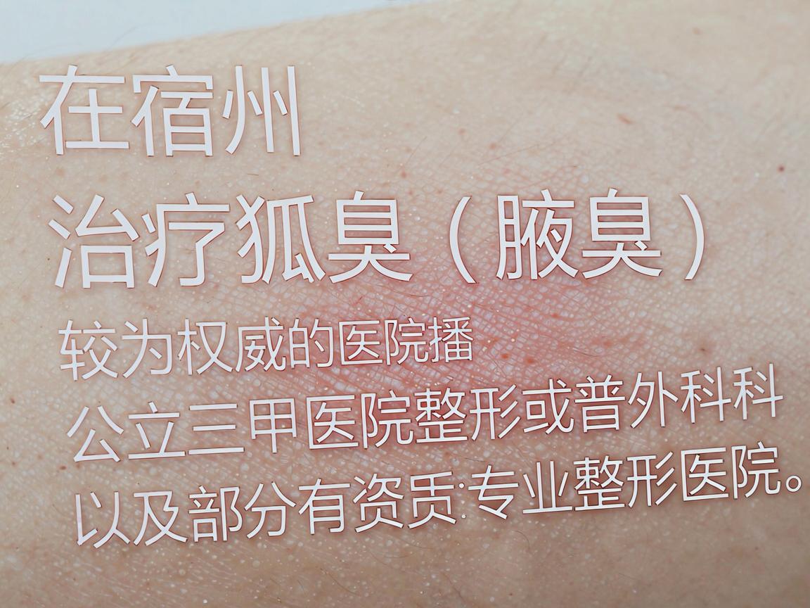 在宿州,治疗狐臭(腋臭)较为权威的医院通常包括公立三甲医院的烧伤整形科或普外科,以及部分有资质的专业整形医院。以下是几家在当地口碑较好、技术相对成熟的医院及科室推荐 在宿州,治疗狐臭(腋臭)较为权威的医院通常包括公立三甲医院的烧伤整形科或普外科,以及部分有资质的专业整形医院。以下是几家在当地口碑较好、技术相对成熟的医院及科室推荐